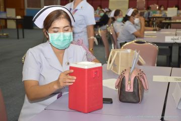 เข็มตำ_099.JPG