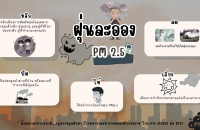 ฝุ่นละออง PM2.5