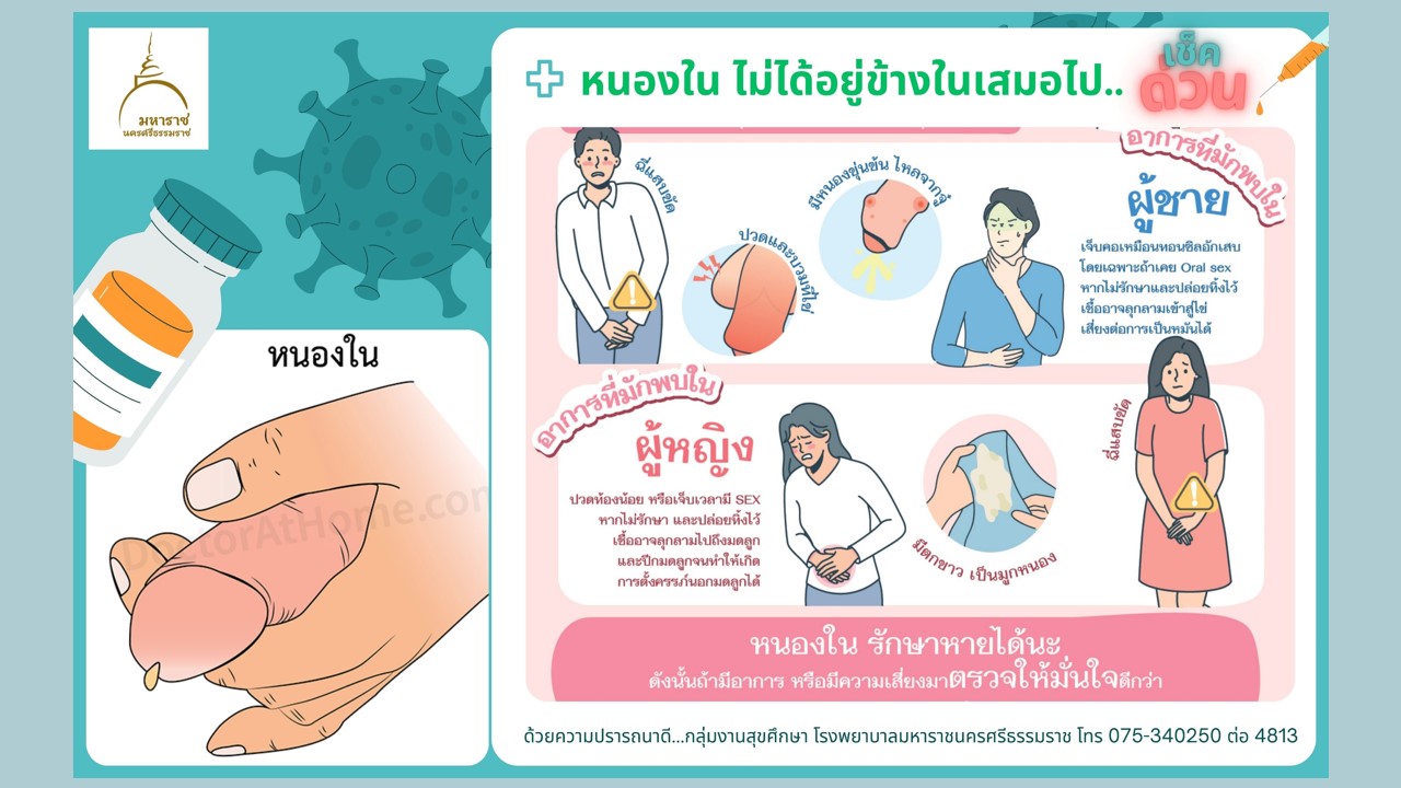 งานนำเสนอหนองใน