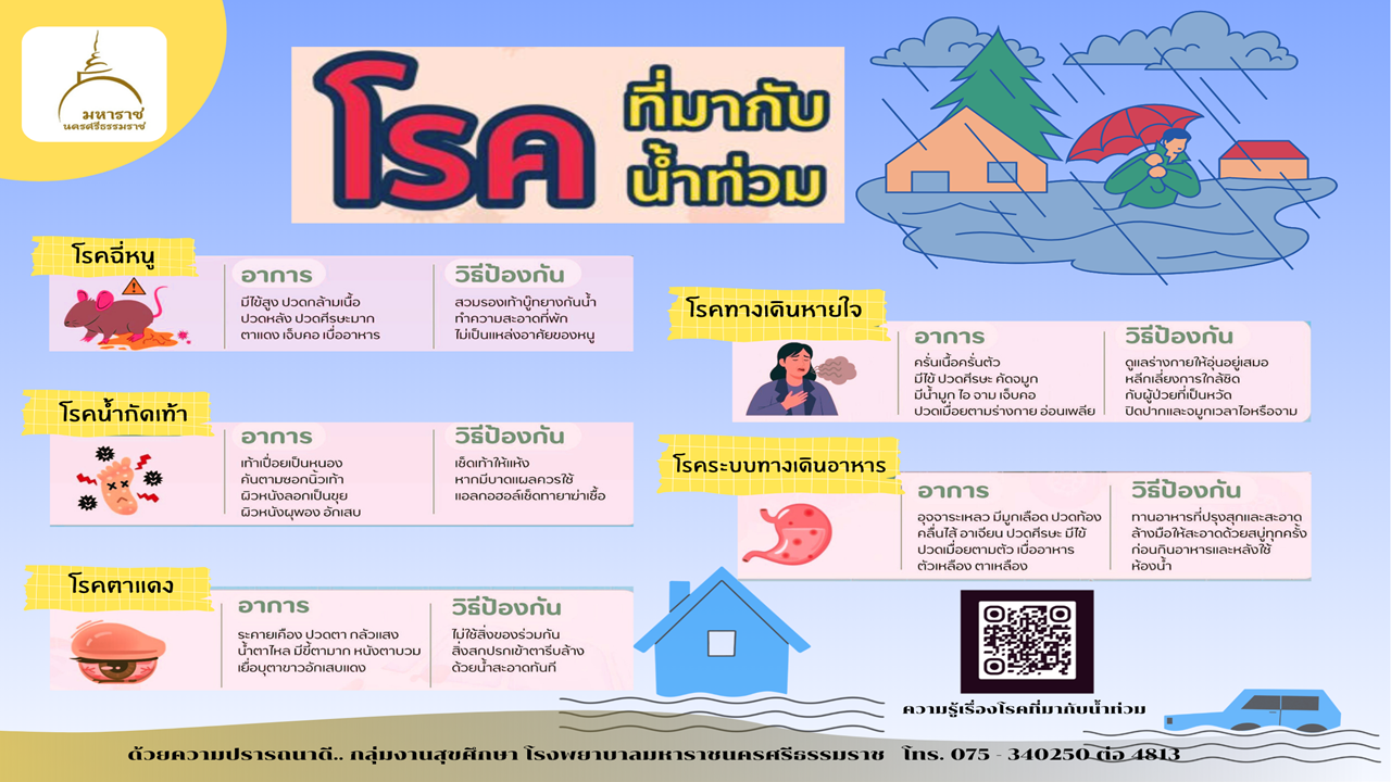 แบบทำโปสเตอร์ลงจอทีวี 11